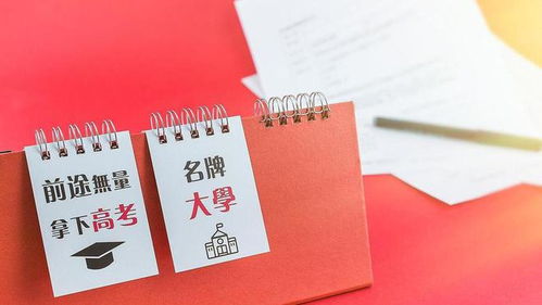 2023年高考作文,注意守正创新的新考法,会考,祝你金榜题名